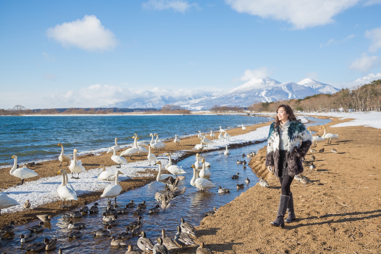 Fukushima Winter Trip | JAPAN